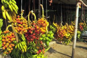 Fresh fruit in the Tropics – Best Places In The World To Retire – International Living