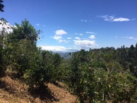 Arial view of a hill in Boquete – Best Places In The World To Retire – International Living