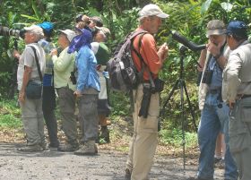 Birdwating in El Valle de Anton,  – Best Places In The World To Retire – International Living