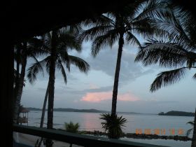 Bocas del Toro Palm Trees At Sunset from the  Balcony – Best Places In The World To Retire – International Living
