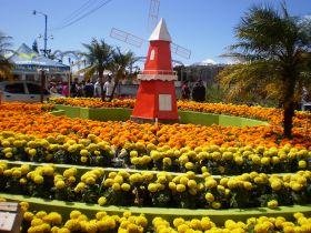Boquete Flower Fair Windmill – Best Places In The World To Retire – International Living