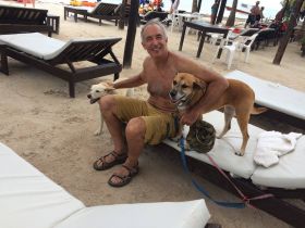 Chuck Bolotin with dogs on chairs at beach in Mahahual, Mexico