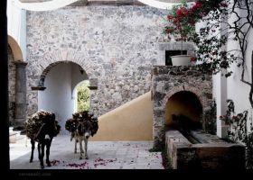 Courtyard in San Miguel de Allende, Mexcio – Best Places In The World To Retire – International Living