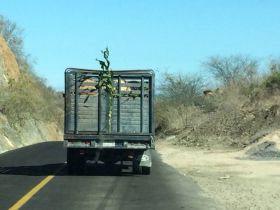 Following a truck moving too slowly in Mexico