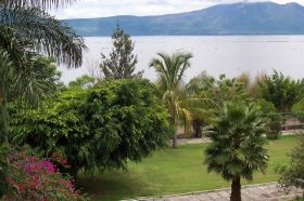 Garden in Ajijic