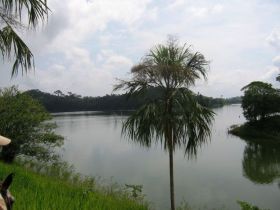 Lake Bayano, Panama, with palm tree in the foreground – Best Places In The World To Retire – International Living