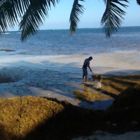 Man with his dog on the beach at San Pedro, Ambergris Caye, Belize – Best Places In The World To Retire – International Living