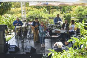 Musicians at Boquete Jazz Festival – Best Places In The World To Retire – International Living