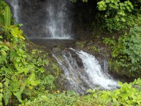 Pool and waterfall in Bocas del Toro – Best Places In The World To Retire – International Living