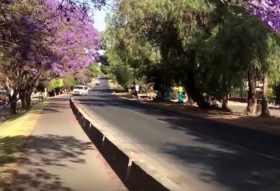 Road in Ajijic with flowers blooming