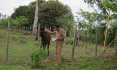 Robert with a horse at La Rosa de Los Vientos, Pedasi, Panama – Best Places In The World To Retire – International Living