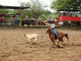 Rodeo in Boquete, Panama – Best Places In The World To Retire – International Living