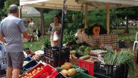 Saturday market, Segundo Parque Laureles, Colombia – Best Places In The World To Retire – International Living