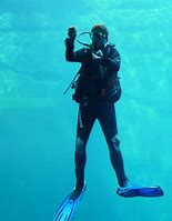 Scuba diver