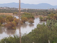 The presa in San Miguel de Allende, Mexico – Best Places In The World To Retire – International Living