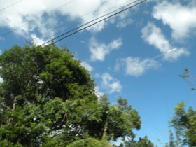 Trees and UFO near Boquete, Panama May 17, 2013 – Best Places In The World To Retire – International Living