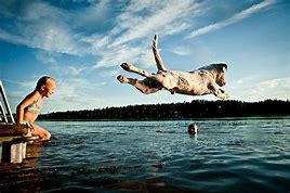 Dog leaping into a lake