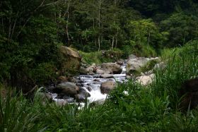 Stream in Panama – Best Places In The World To Retire – International Living