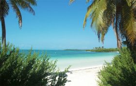 Beach with palm trees on Isla Contoy – Best Places In The World To Retire – International Living