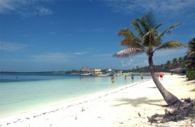 Palm trees on the shore of  Isla Contoy – Best Places In The World To Retire – International Living