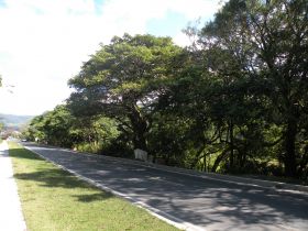 The road into Boquete downthe mountain closer to the village. – Best Places In The World To Retire – International Living