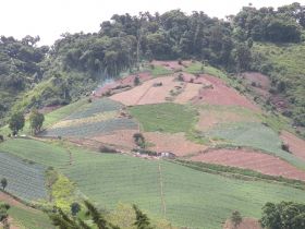 Crops produced four times a year, 3% of the total produce in Panama comes from Volcan. – Best Places In The World To Retire – International Living