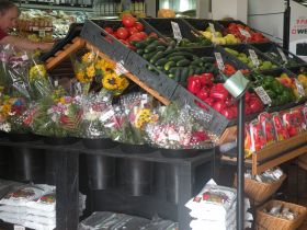 Inside Romero's Grocery Store in Boquete Panama – Best Places In The World To Retire – International Living