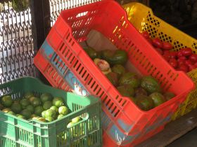 Produce at  vendor near Romero Supermarket in Boquete Panama – Best Places In The World To Retire – International Living