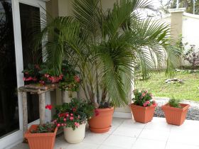 Our patio in Boquete Panama – Best Places In The World To Retire – International Living