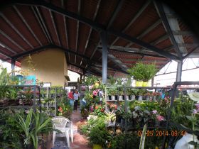 The Farmer's market in Valle de Anton – Best Places In The World To Retire – International Living