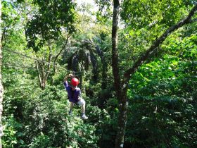 zipline, red frog beach, bastimentos, bocas del toro, panama, adventure travel activity,  – Best Places In The World To Retire – International Living