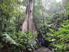 PANAMA CANAL HIKING – Best Places In The World To Retire – International Living