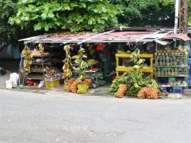 David, Panama fruit stand – Best Places In The World To Retire – International Living